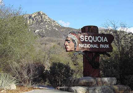 California, la terra delle sequoie giganti