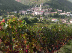 La Vernaccia di Serrapetrona 1 Il borgo di Serrapetrona circondato dai vigneti