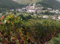 Il borgo di Serrapetrona circondato dai vigneti