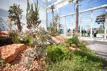 Giardino della Biodiversità - Serre aride