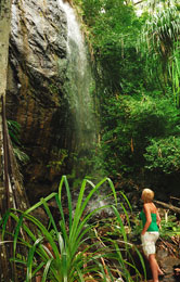 Vacanze naturali. Woman & Waterfall Valle De Mai (foto: Raymond Sahuquet)