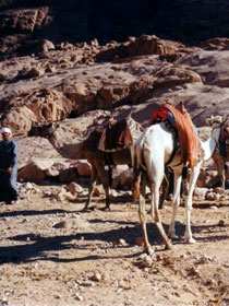 Sul Sinai dove il tempo si è fermato