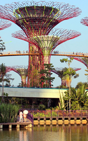 Alberi in versione gigantesca nei i Gardens by the Bay