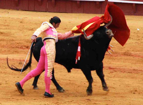 "Califas y Toros" (correggendo Santoro)