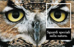 Il cinema racconta la natura 4 Il cinema racconta la natura