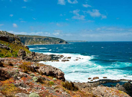 La costa meridionale di Kangaroo Island
