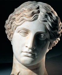 Antico e contemporaneo a Napoli 1 Testa di Amazzone in marmo dalla Villa dei Papiri. © Soprintendenza Speciale per i Beni Archeologici di Napoli e Pompei