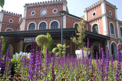 Una stazione fiorita 4 Una stazione fiorita
