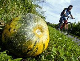 Terme, bici e sapori. Formula stiriana