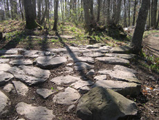 Strada romana nel Parco dei Castelli