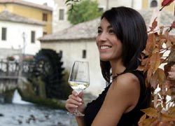 Arte e musica lungo la strada dei vini