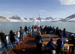 Isole Svalbard: il regno dell'orso polare