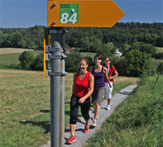 Trekking e passeggiate a contatto con la natura