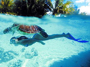 Nuotare con le tartarughe nel mare delle Maldive