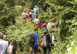 Turisti percorrono un itinerario in montagna