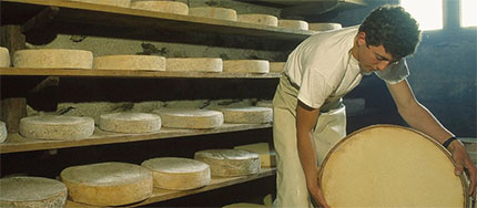 I prodotti tipici dei Parchi in un Salone