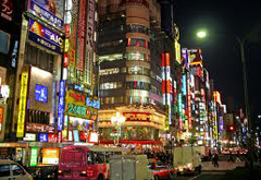 La Madonnina veste il kimono 2 Le innumerevoli luci di Tokio