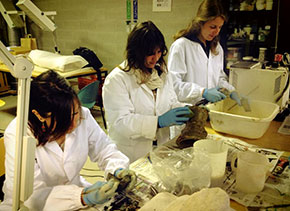 Preparazione, pulizia e lavaggio di anfore altomedievali e tardo antiche in laboratorio