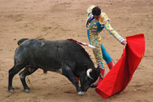 Torero a Madrid