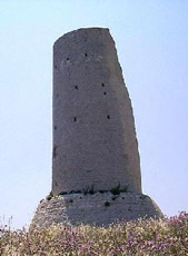 Torre della Serpe