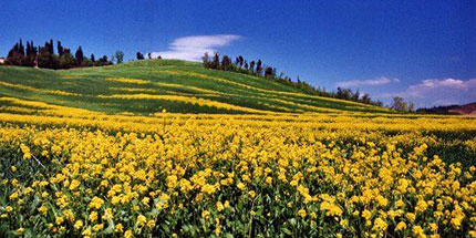 La Toscana regina delle case vacanze