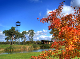 Toya Golf & Country Club Wroclaw