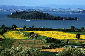 Il paesaggio collinare che incornicia il Lago Trasimeno