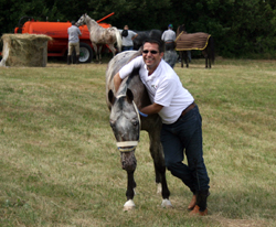 A cavallo sulla Via Francigena