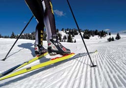 Sciatori sulle piste di Madonna di Campiglio (Foto:Pierluigi Orler Dellasega)