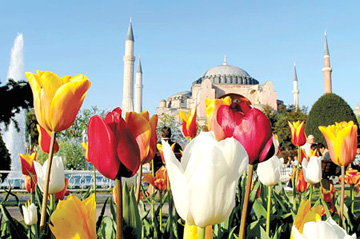 International Istanbul Tulip Fest