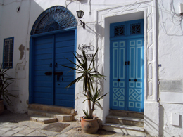 Le case bianche e azzurre di Sidi Bou Said