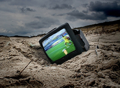 Benvenuti cani. Sapevate che...