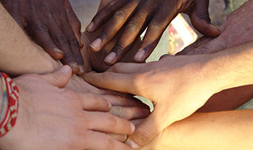 A vacanza di altruismo a Rosarno 4 A vacanza di altruismo a Rosarno