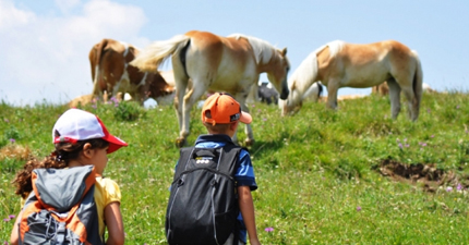 Campi estivi sull'Altopiano di Vezzana in Trentino Alto Adige