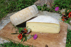 Formaggio d'alpe grasso prodotto nella valle (Foto A. Bianchi - IZSLER)