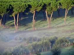 Valle di Baccano (Foto:Roberto Sinibaldi – parcodiveio.it)