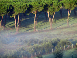 Andar per parchi e riserve naturali 1 Valle di Baccano (Foto:Roberto Sinibaldi – parcodiveio.it)