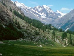 Valle di Cogne