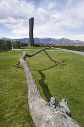 Il giardino di Penone