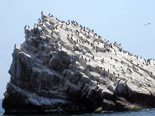 Fauna e bellezze naturali si incontrano a Mochima