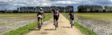 Gruppo di testa durante una delle cicloescursioni organizzate dall'Associazione Uomo e Territorio Pro Natura lungo La Via dei Cairoli (Foto di D.Fregolent)