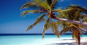 Viaggi organizzati, un settore che tiene