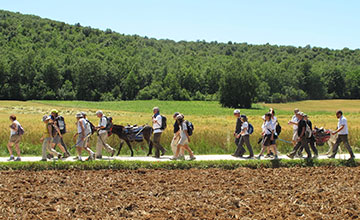 Chi va piano va lontano