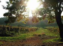 Vignaioli in adunata in Toscana