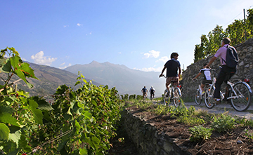 In bici tra i vigneti della Valle d'Aosta