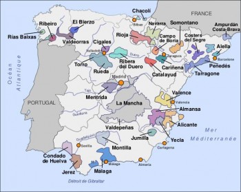 Vignoble espagne