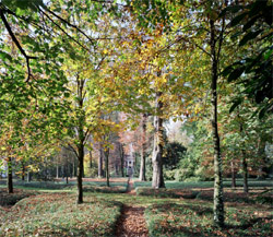 Il parco di Villa Pisani (Archivio Sovrintendenza Bap per le province di Venezia, Belluno, Padova e Treviso)