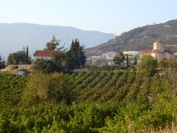 Vigneti di Koumandaria