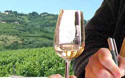 Appuntamento in Friuli con "Vino & territorio 2005"