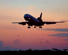 Offerte da prendere al volo